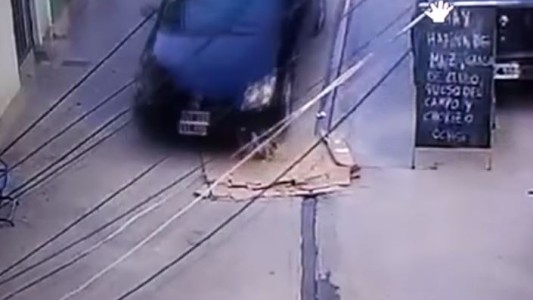 Video: le pasa por encima con el auto a un perro recostado en la calle