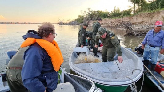Diciembre fue un mes record de procedimiento para "Los Pumas"
