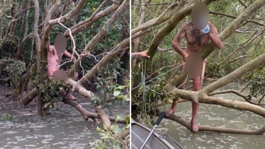 Tras rescatar a un hombre que estaba desnudo en un árbol sobre aguas con cocodrilos, se enteraron que era un fugitivo