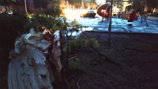 Video: Fuerte temporal con lluvia, viento y granizo causó destrozos en Sunchales