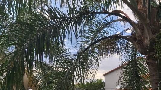 Algo inestable la mañana del jueves y bajo alerta amarilla: cuándo llegarían las tormentas