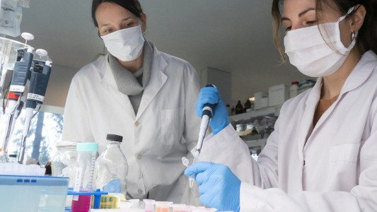 Coronavirus: la Sociedad Argentina de Terapia Intensiva recomendó no usar el suero equino hiperinmune