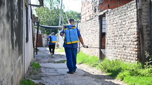 Confirmaron el primer caso importado de dengue en la ciudad de Rosario