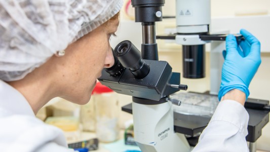 El Cetri Litoral obtuvo la Medalla de Oro a la calidad en Gestión Pública