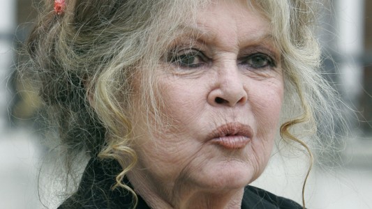 Polémicos dichos de Brigitte Bardot sobre el coronavirus: "Es bueno porque autorregula la superbolación"