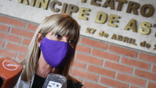 Rodenas pidió a Diputados "que se brinde el debate sobre el plan de conectividad"