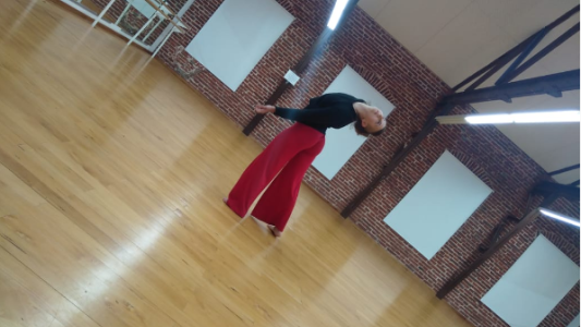 Ingresantes 2021: el Liceo Municipal abre la preinscripción a sus cinco escuelas