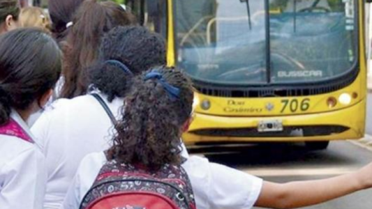 Ya se pueden hacer las consultas online para obtener el boleto educativo