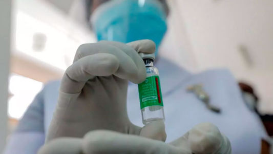 Coronavirus: El Gobierno aprobó a la vacuna Covishield, fabricada en India