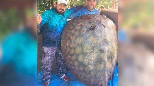 Pescaron una raya de 190 kilos en el interior de la provincia