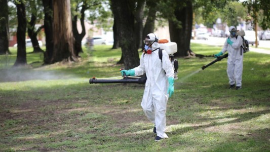 La Municipalidad intensifica la fumigación de mosquitos