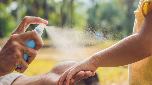 Mosquitos: la compra de repelentes creció en un 70%