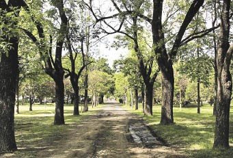 Otro robo en el Jardín Botánico: se llevaron costosos elementos del sector de oficinas
