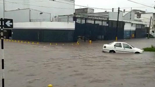 Calles anegadas y autos arrastrados por la corriente: las imágenes del temporal en Mar del Plata