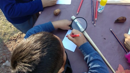 Reabren los jardines municipales: ¿Cómo serán los protocolos?