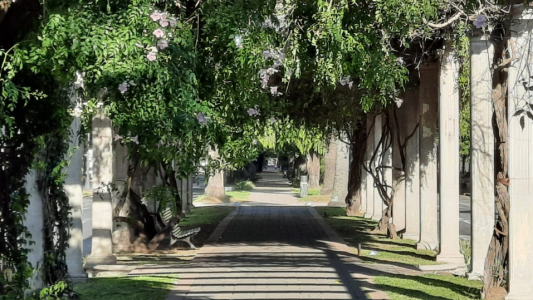Viernes con cielo despejado y caluroso en la ciudad