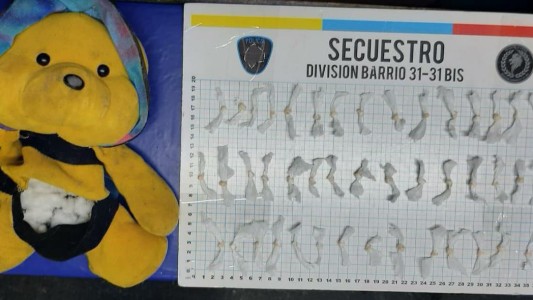 Una mujer intentó trasladar varias dosis de paco dentro de un oso de peluche