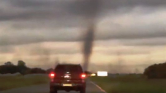 VIDEO: Invasión de mosquitos en la ruta 74 que une General Madariaga con Pinamar