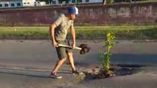 Pasó en la provincia: plantó un árbol en un pozo callejero con el que rompió su auto