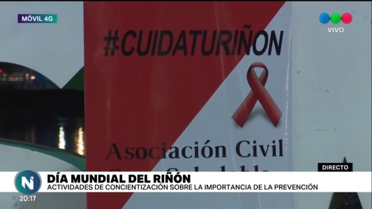 En el Día del Riñón, piden concientizar ya que es "un órgano vital para nuestro cuerpo"