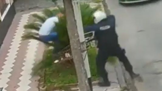 Intentó robar a un repartidor, huyó y se "escondió" en una palmera