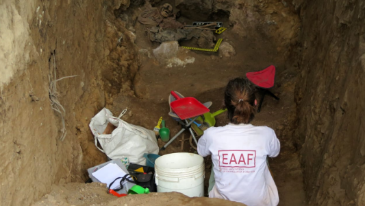 Ciencia por el derecho a la identidad, la verdad y justicia