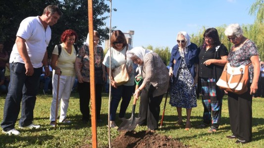 Día de la Memoria: Plantarán 30000 árboles en todo el país en homenaje