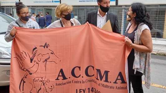 Los animales rescatados en un criadero ilegal de Recreo seguirán en hogares de tránsito