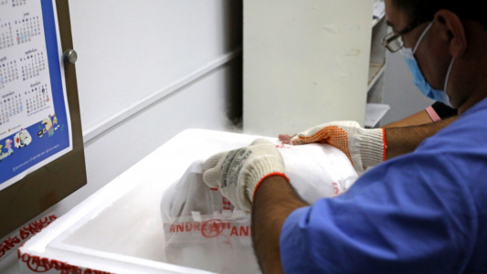 Santa Fe recibió 23.400 dosis de la vacuna Sputnik V