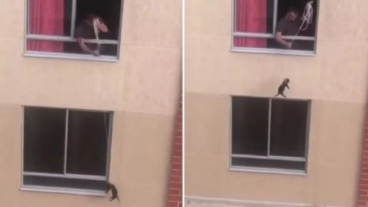 Video: ató a su perro y lo paseó desde el balcón de su casa en un segundo piso
