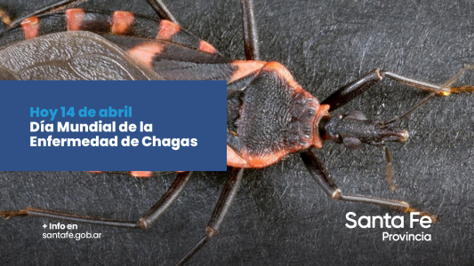 El Ministerio de Salud realizó recomendaciones para evitar la enfermedad de Chagas