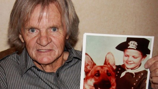 Murió en la indigencia el protagonista de "Las aventuras de Rin Tin Tin"