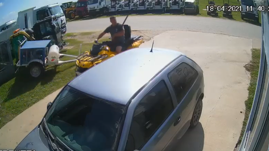 Denuncian al director de un hospital por matar un perro a tiros en Córdoba