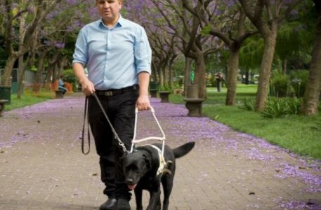 "La discapacidad tiene que estar en la agenda pública", pide director de ANDis