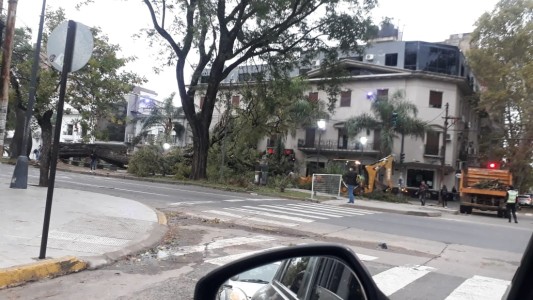 Durante el temporal de viento, ingresaron 70 reclamos al 0-800 del municipio santafesino