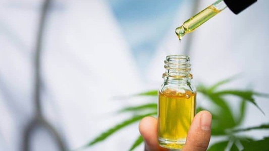 Para Macame es "un orgullo" que Santa Fe comience a fabricar aceite de cannabis