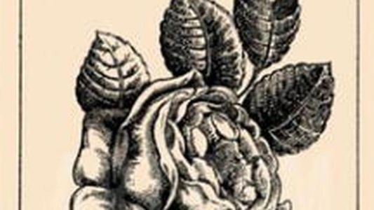 Reto viral: el rostro femenino imperceptible dentro de la imagen de una flor