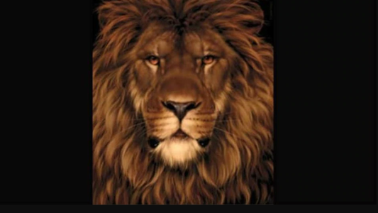 20 segundos: solo un ojo entrenado encuentra el ratón de este reto viral