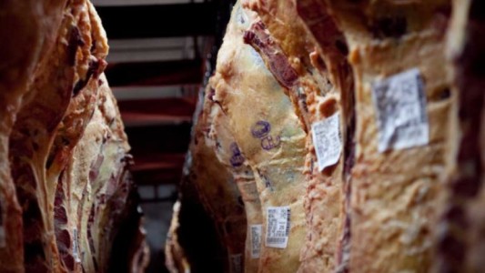 Productores y representantes de sectores de la carne rechazaron la restricción