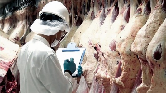 Ante la suspensión de la exportación de carne, advierten por el cierre de frigoríficos