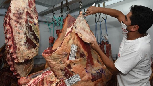 Para la provincia, el problema del precio de la carne debe abordarse desde el mercado interno