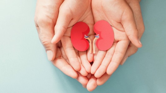 El 30 de mayo se conmemora Día Nacional de la Donación de Órganos y Tejidos