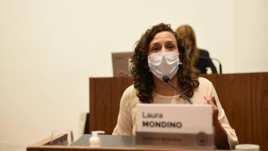 Proyecto en el Concejo Municipal para repudiar la resolución del juez Mingarini