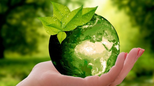 Este 5 de junio se conmemora el Día Mundial del Medio Ambiente