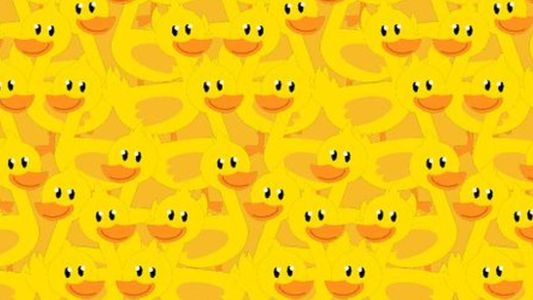 Sin marearte: encuentra al pollito entre los patos de este reto viral en 15 segundos