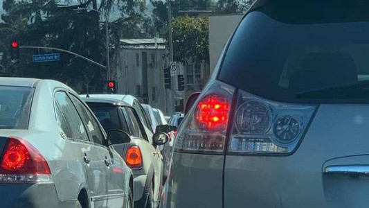 Muy difícil: encontrá al perro en el lugar menos pensado