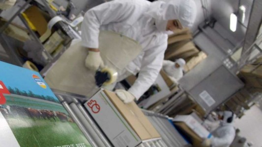 Plan Ganadero: El Gobierno reabrirá en forma parcial las exportaciones de carne con cupos