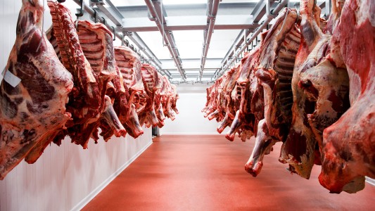El Sindicato de la Carne de Santa Fe festejó la reapertura de exportaciones