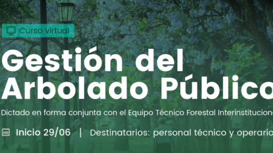 La provincia lanza un curso de Gestión del Arbolado Público