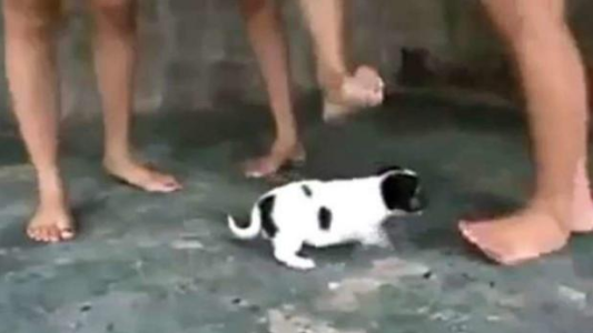 Tres años de prisión a un hombre que determinó a otras personas a realizar “crush fetish”